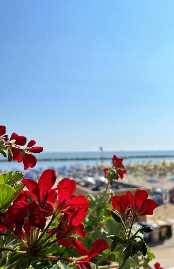 Hotel Bartolini Bellaria-Igea Marina Exteriér fotografie